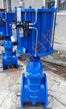 氣動軟鑄鐵軟密封暗桿閘閥Z645X
